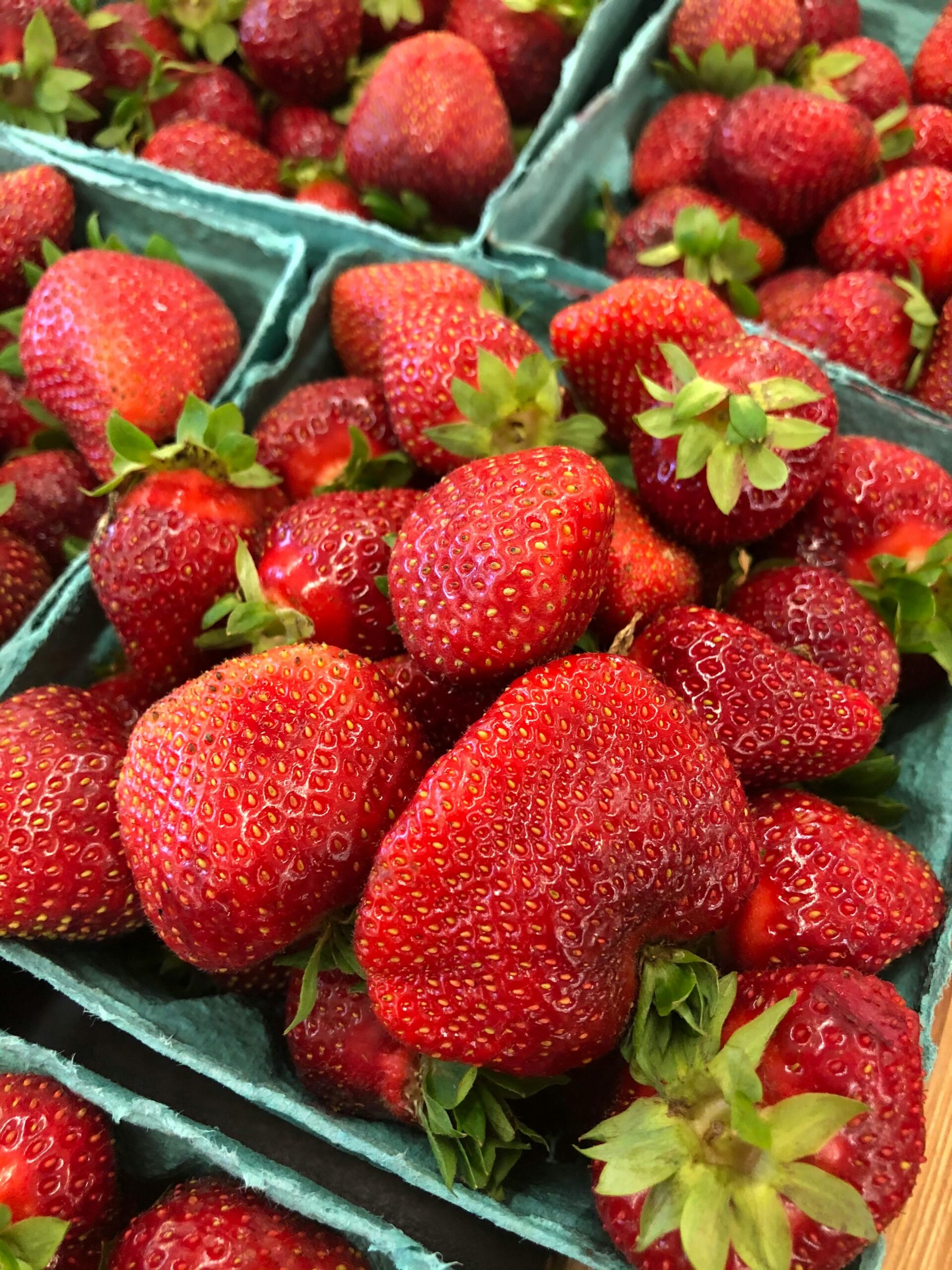 pexels-jonathan-einwechter-1312107-31404684 fraises de plougastel